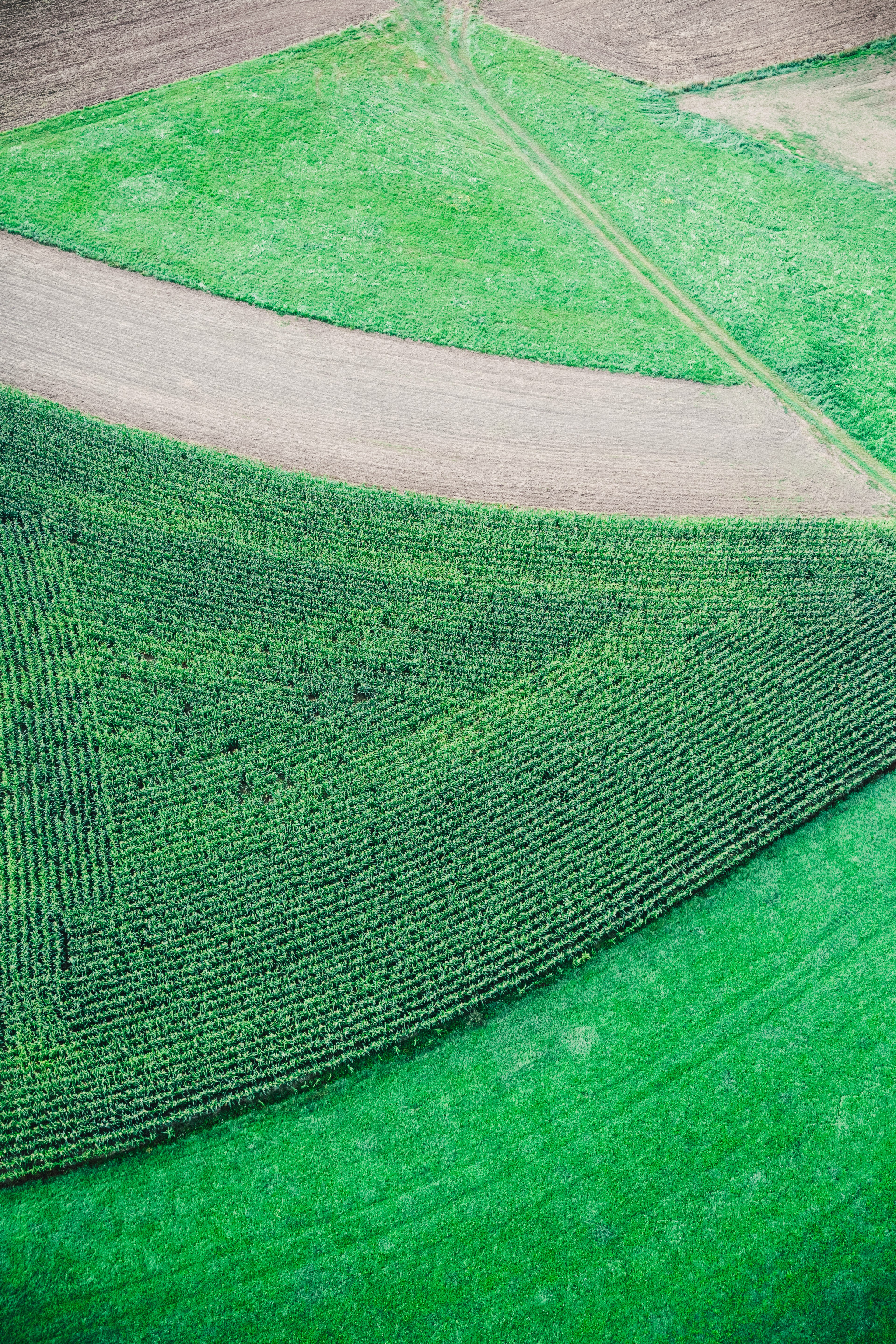 aerial view of green grass field